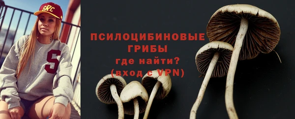 МДПВ Кинешма