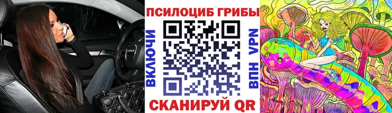 Галлюциногенные грибы Psilocybine cubensis  Полесск 